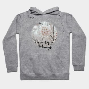 beautiful things Hoodie